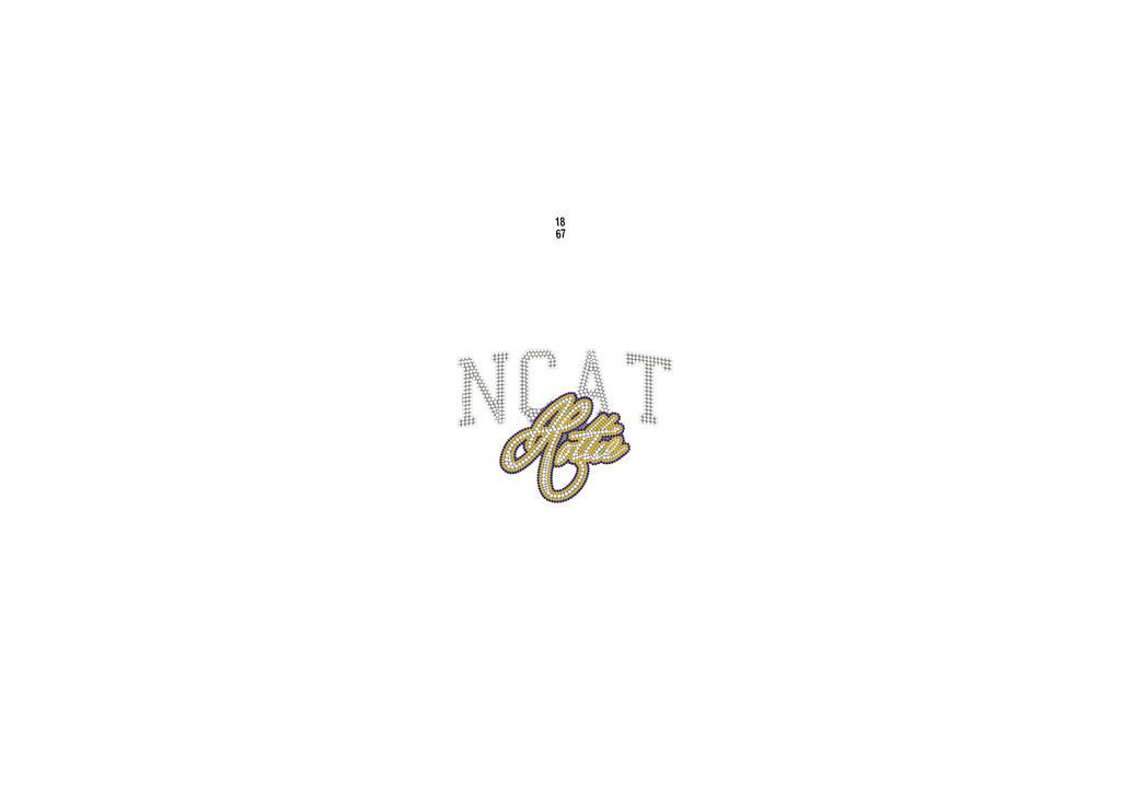 NCAT Hottie Crop Tank Top - Preorder *Read Description*
